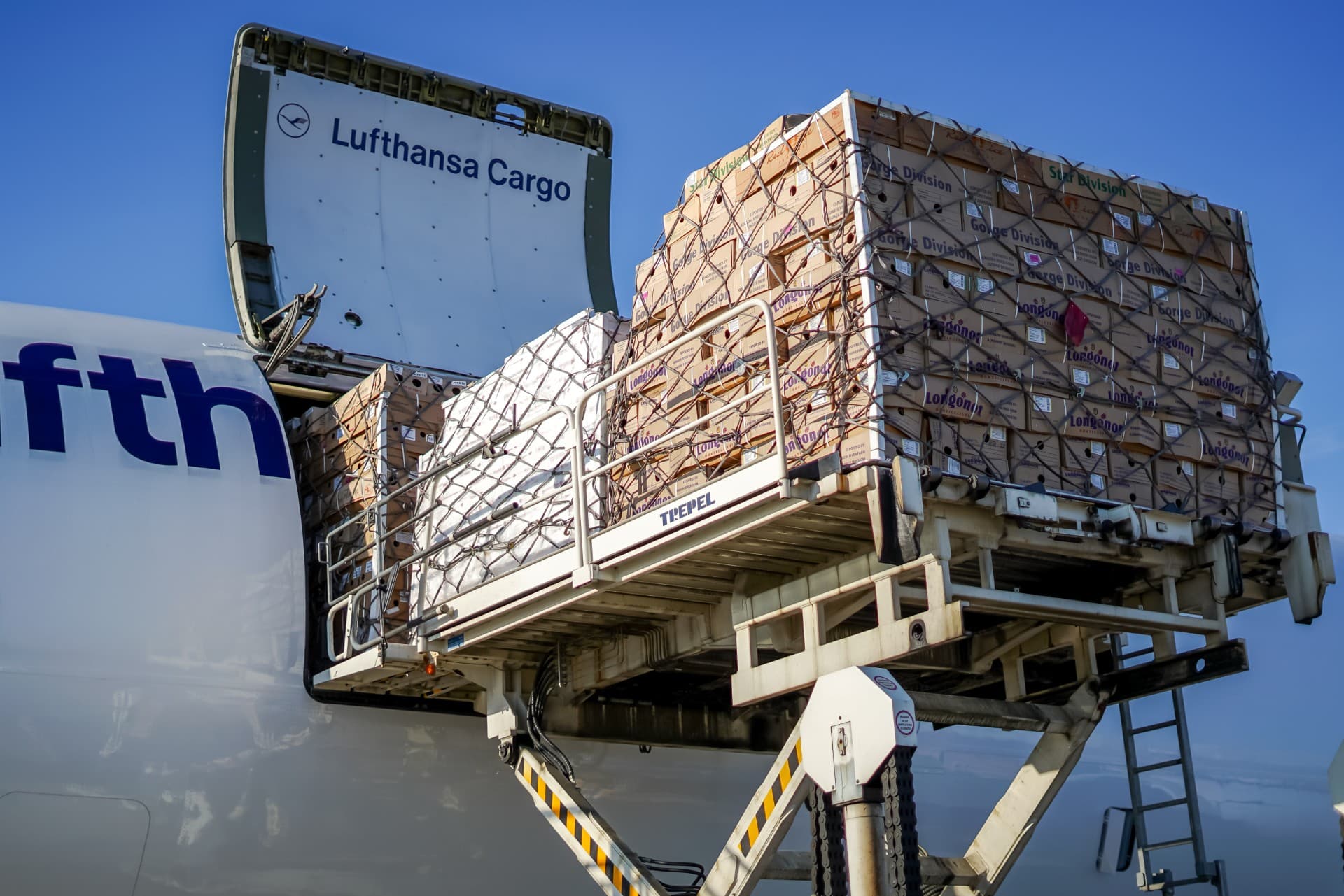 Lufthansa Cargo Implements Digital Customs Solution at Frankfurt Airport