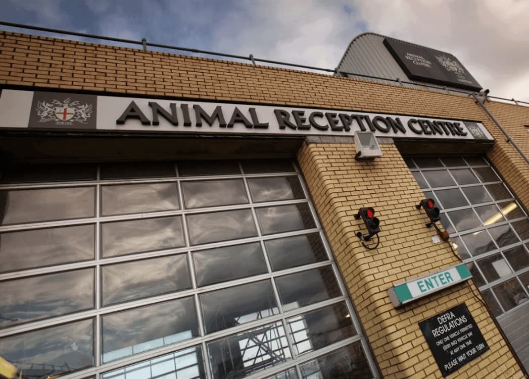 Heathrow Animal Reception Centre Achieves Third IATA CEIV Live Animals Recertification