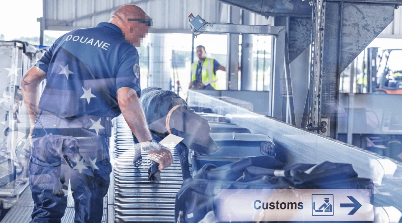EU Customs Reforms Target E-commerce Imports Amidst Surge in Low-Value Parcels