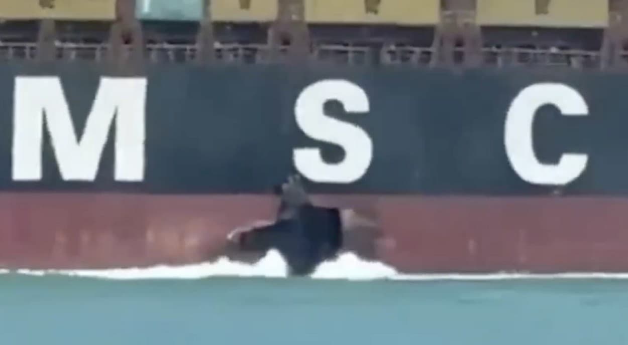 MSC Containership Attacked by Suspected Drone in Iraqi Waters, Escalating Gulf Security Concerns