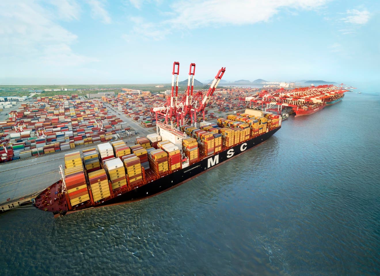 MSC Expands Eagle Service with New Zealand Napier Port Call
