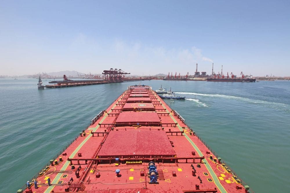Indian Coast Guard Initiates Rescue for Sinking Bulk Carrier Off East Coast