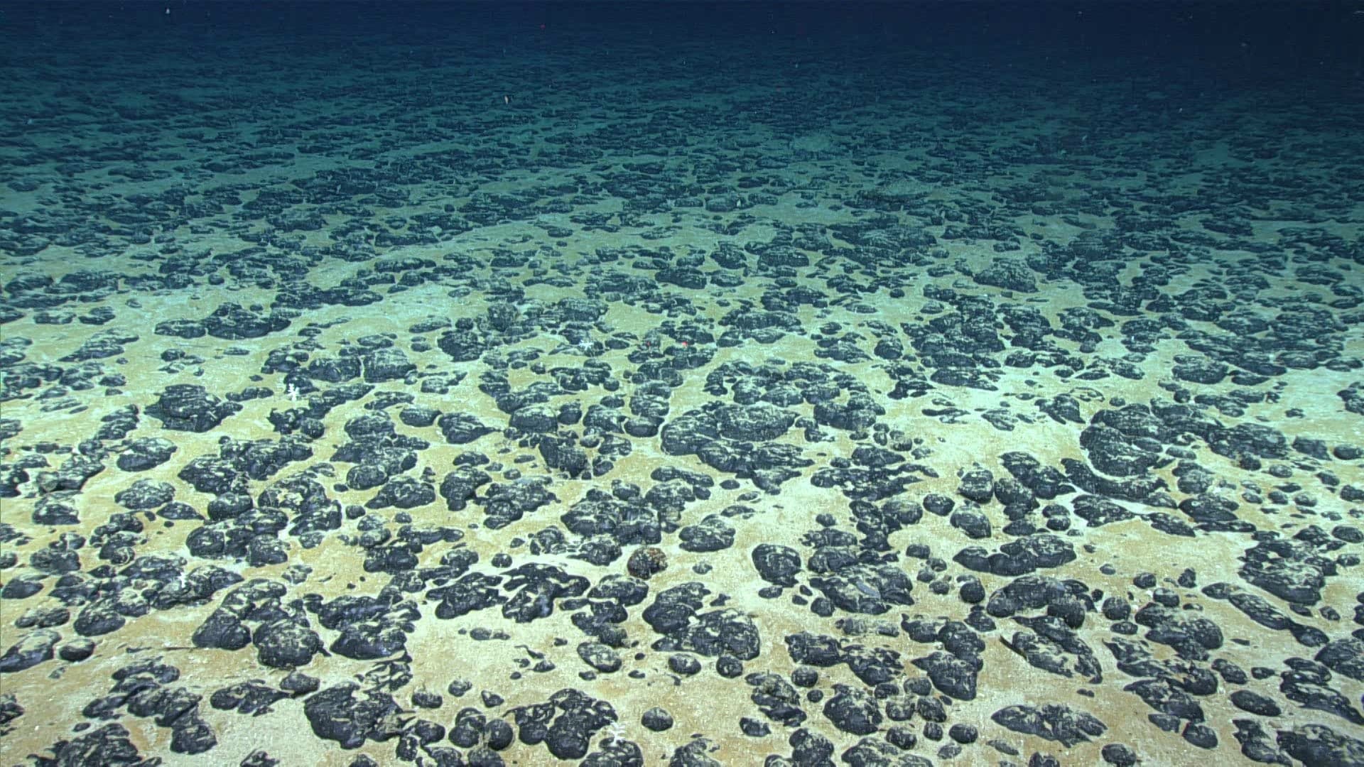 NOAA Advances Deep Sea Minerals Corp.'s Seabed Mining Application