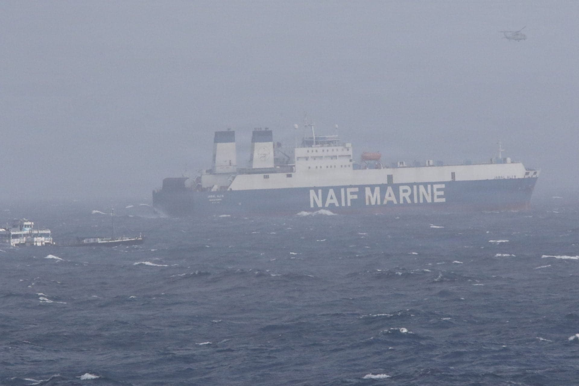 Merchant Vessel and US Navy Rescue 14 Mariners Near Strait of Hormuz
