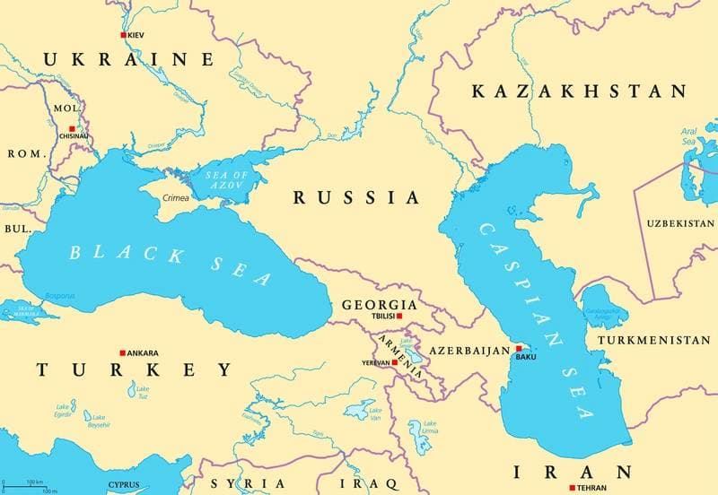 Black Sea Attacks Escalate, Impacting Global Grain and Oil Shipments