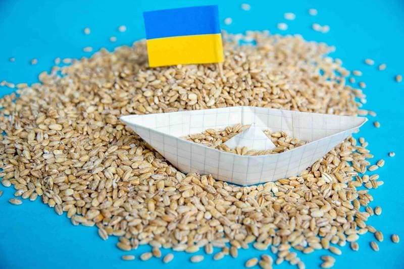 EU Wheat Prices Increase Following Black Sea Incident and Algerian Tender