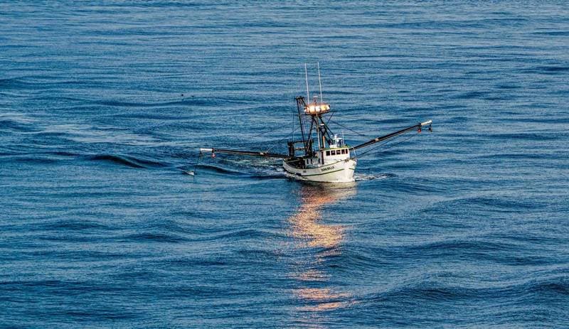 US Coast Guard Highlights Dredge Fishing Safety Risks After Fatal Incidents