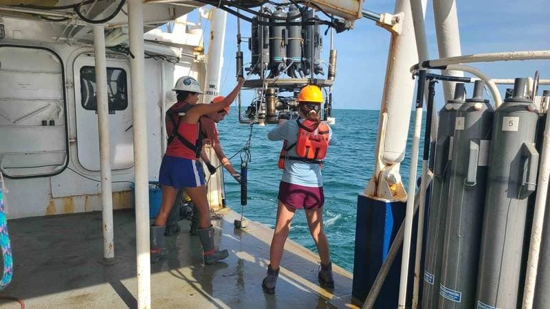 Gulf of Mexico Hypoxic Zone Significantly Smaller Than Anticipated