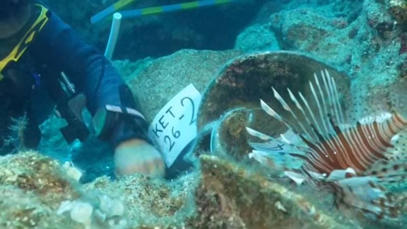 Ancient Shipwreck Discovered Off Turkish Coast Reveals Bronze Age Trade