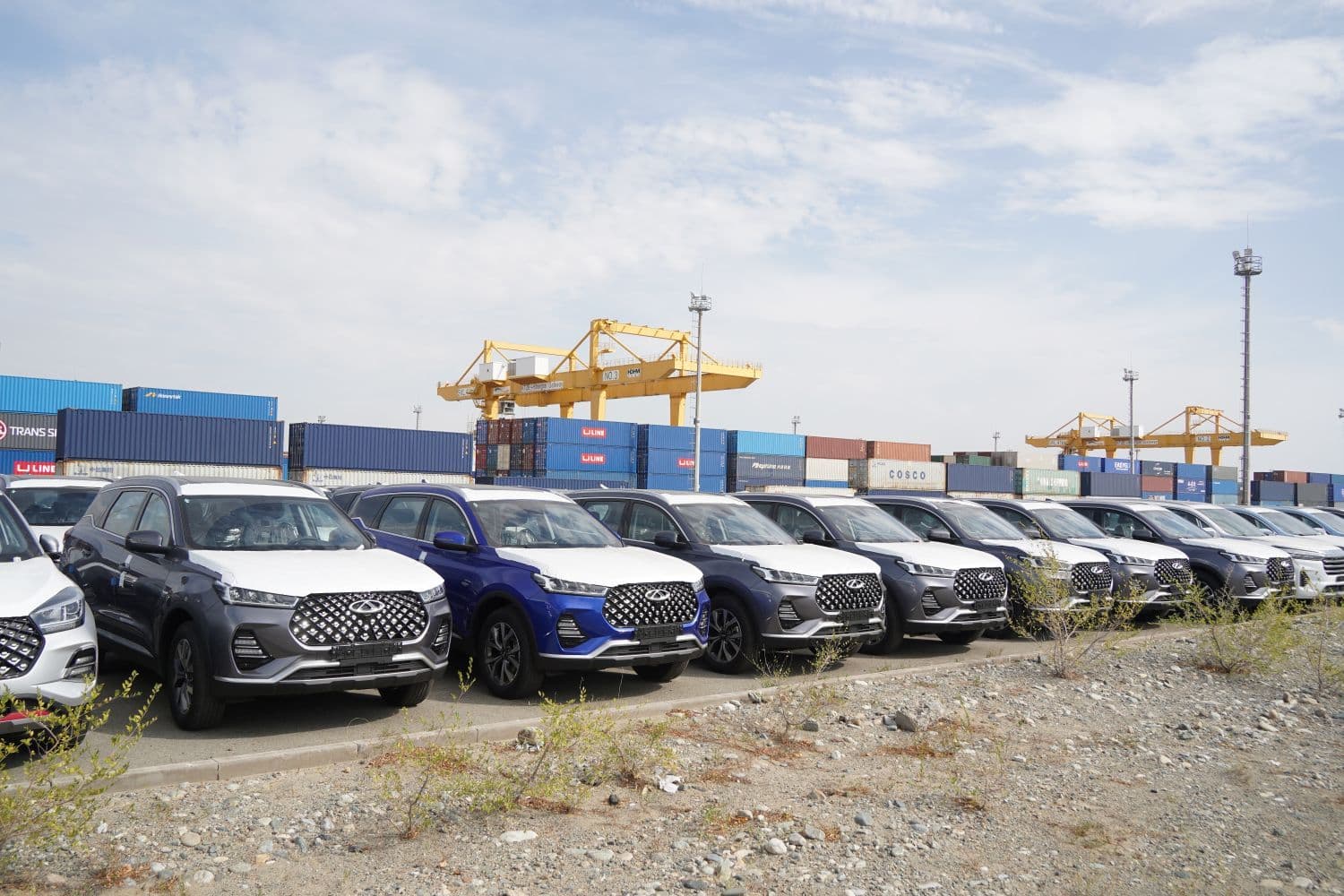 Chinese Automakers' Overseas Expansion Reshapes Ro/Ro Carrier Routes