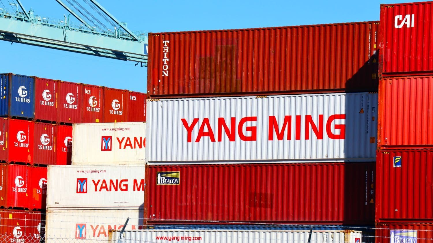 Yang Ming Predicts Geopolitical and Tariff Impacts on H2 Shipping Outlook