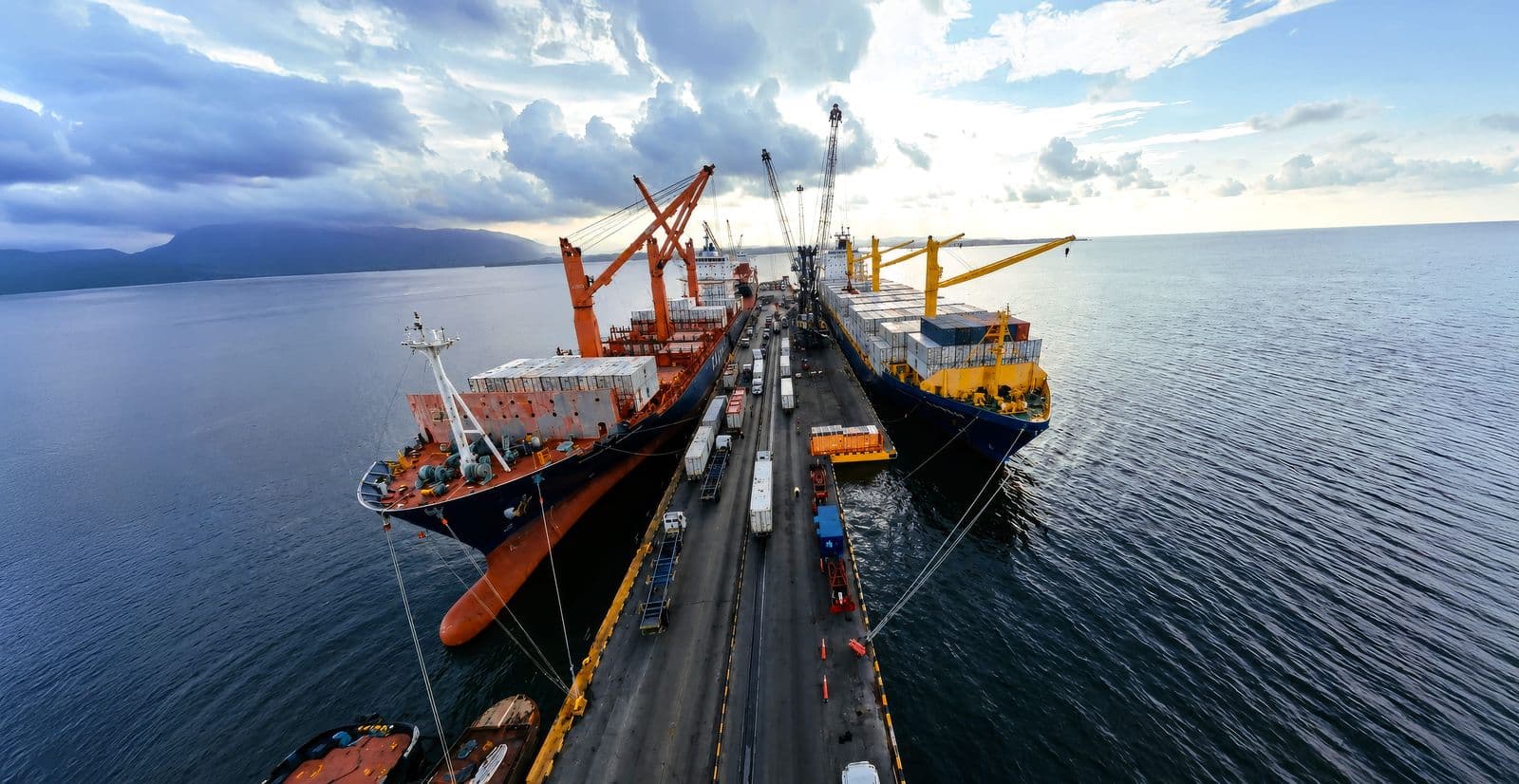 Great White Expands Reefer Services with New South America, US, and Europe Routes