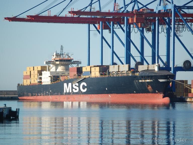Toxic Spill Halts Operations at Two Antwerp Container Terminals