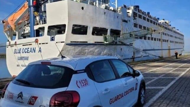 Vessel Conversions to Livestock Carriers Increasing Amid Condition Concerns