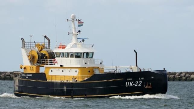 Fishing Vessel Collides with Megamax Containership, Sustains Damage