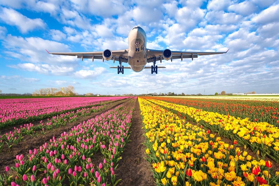 Qatar Airways Cargo Achieves IATA CEIV Fresh Recertification