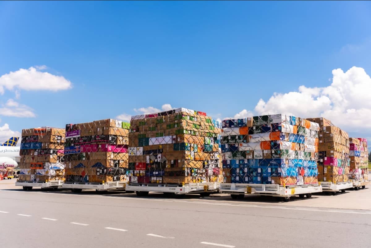Quito Airport Reports Significant Increase in Mother's Day Flower Exports