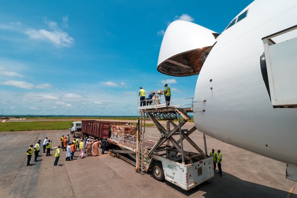 Rising Fuel Costs Challenge Four-Engine Freighters, European Cargo Ceases Operations