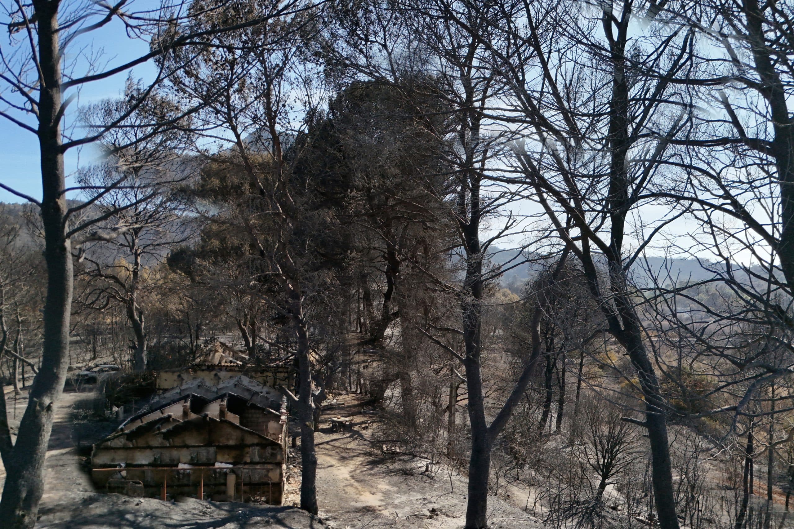 Wildfires in Southwest France Halt Rail Freight and Passenger Services