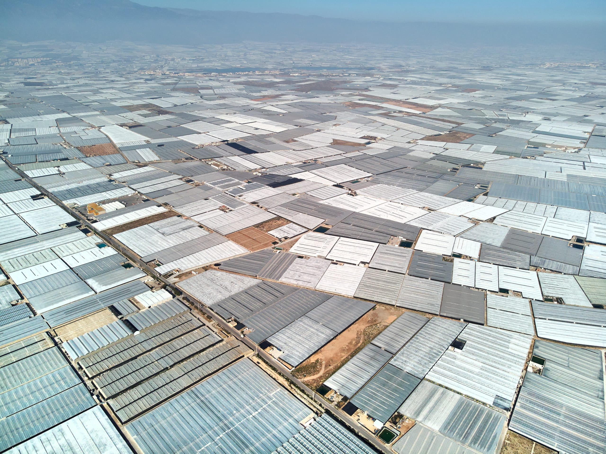 Renfe Mercancías Explores New Rail Highway for Spanish Produce Transport