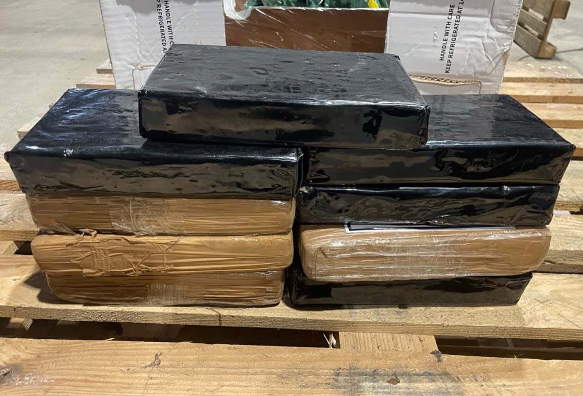 Antwerp Port Seizes 2.4 Tons of Cocaine in Banana Shipment