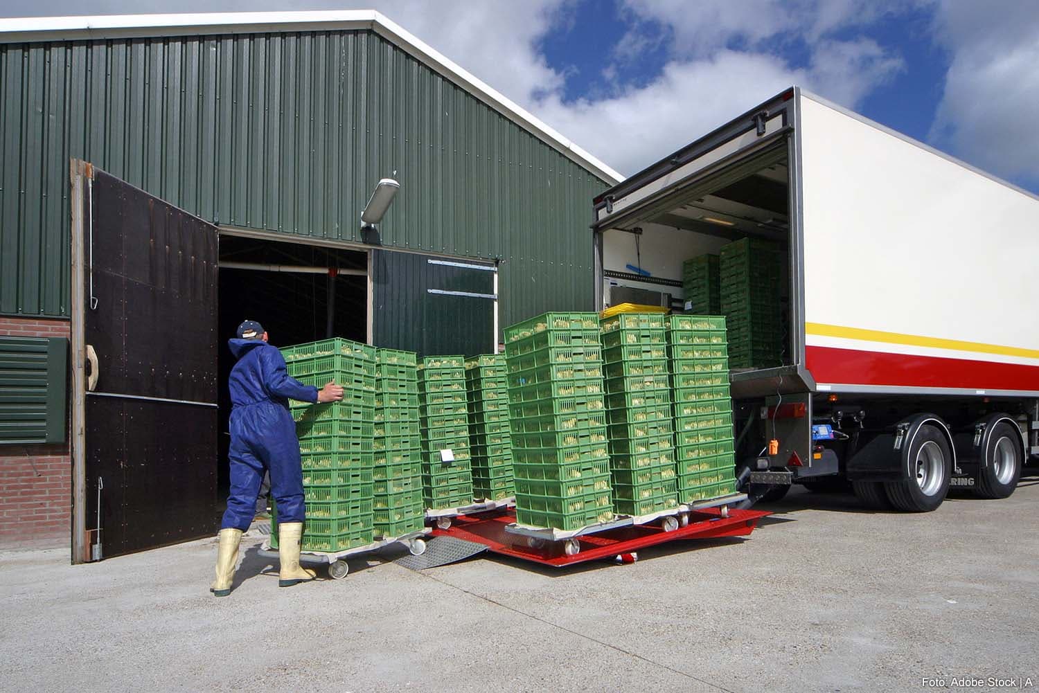 Poultry Farmers Retain Responsibility for Animal Welfare During Transport, Court Rules