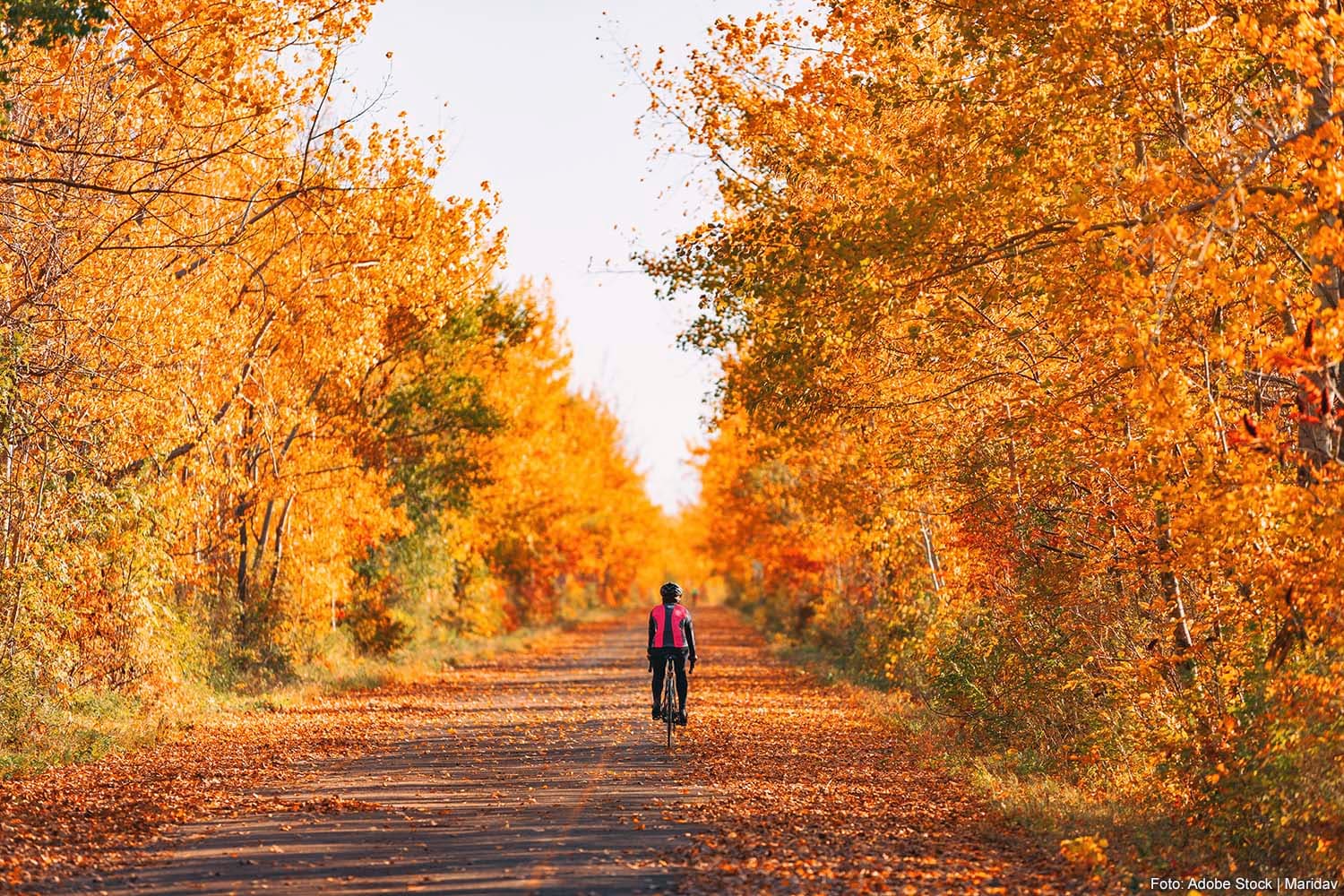 ACE Auto Club Europa Issues Warning on Autumn Cycling Hazards