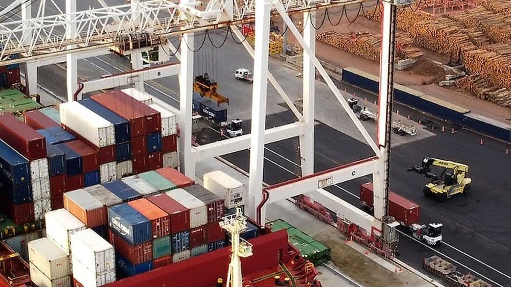 Worker Fatality Reported at Wellington's CentrePort in New Zealand