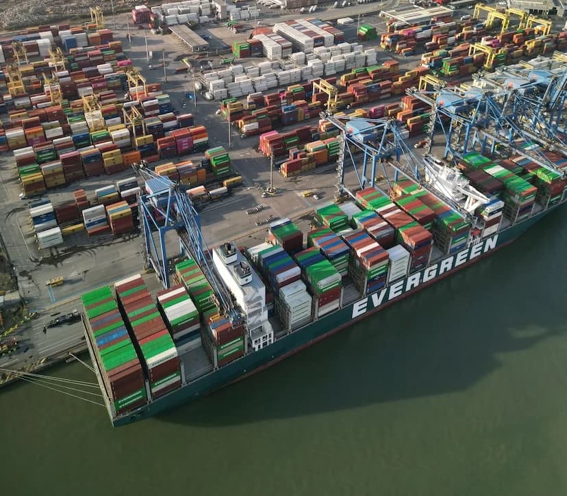 Portonave Invests R$61 Million in Electric Terminal Equipment for Efficiency and Emissions Reduction