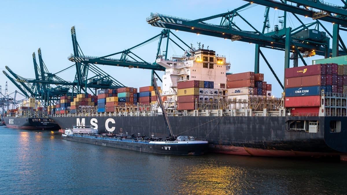 Toxic Substance Leak from MSC Vessel Prompts Evacuation at Antwerp-Bruges Port