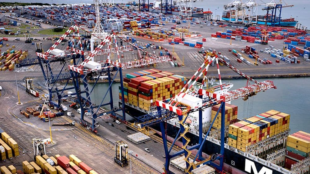 Durban Gateway Terminal Faces Backlog After NAVIS N4 System Implementation