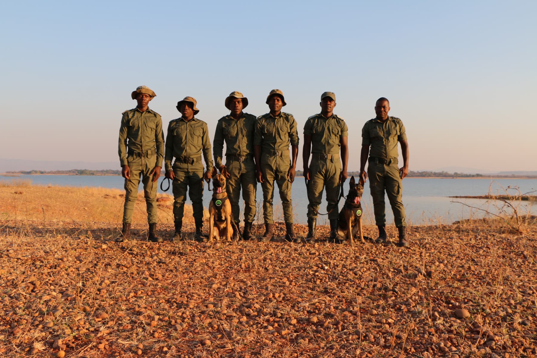 Emirates SkyCargo Transports K9 Conservation Unit to Zimbabwe for Anti-Poaching Efforts