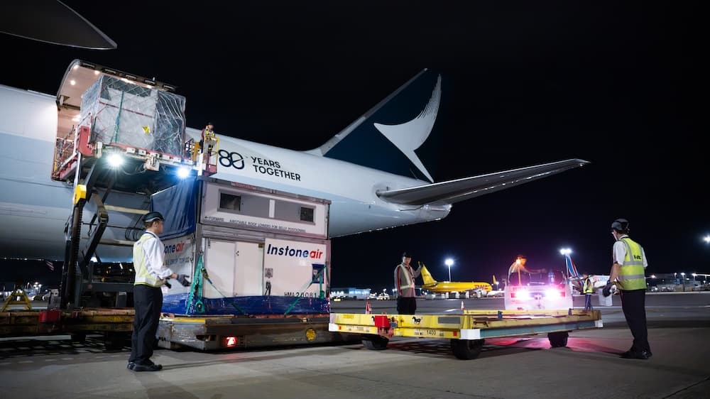 Equine Stars' Air Journey to Hong Kong: Specialized Logistics for CAVALLUNA Show