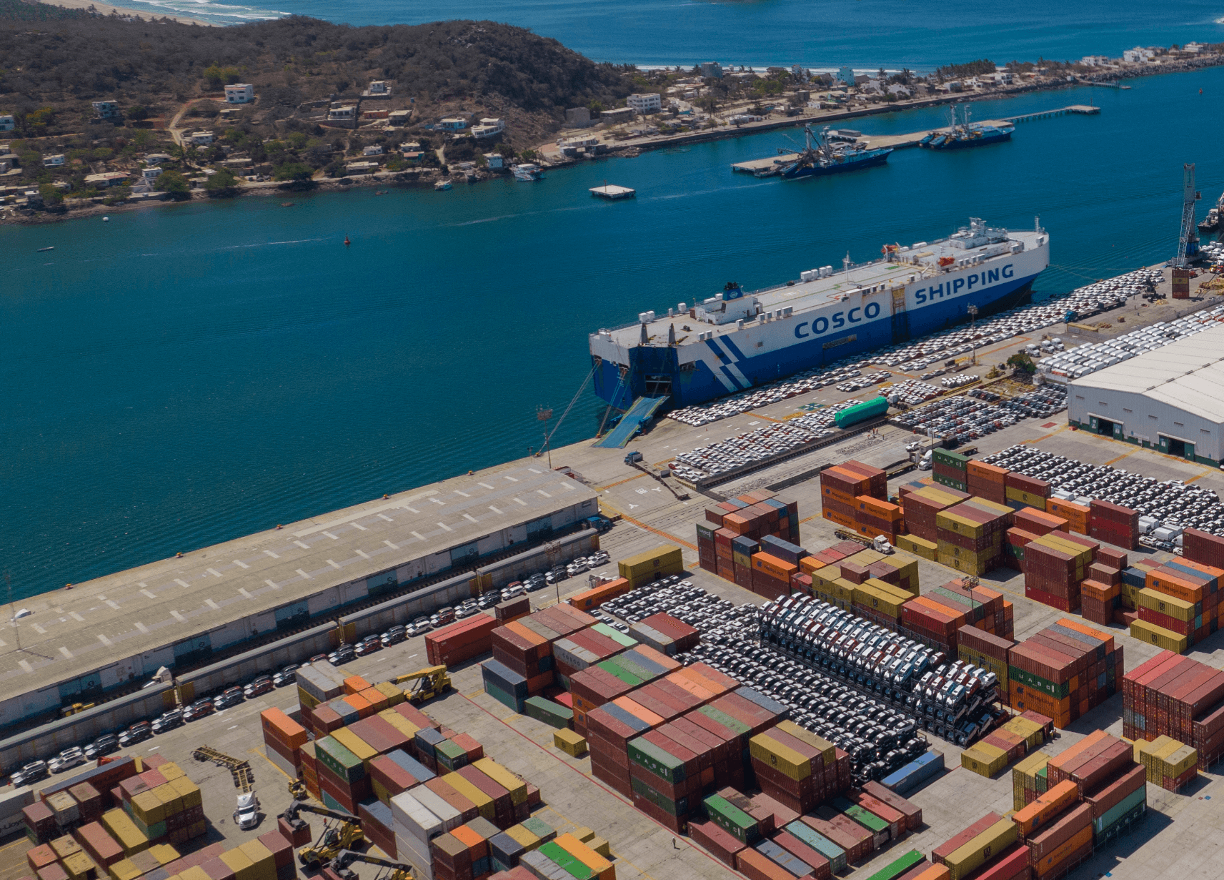 Tmaz Appoints New Commercial and Operations Leaders Amidst Rising Cargo Volumes