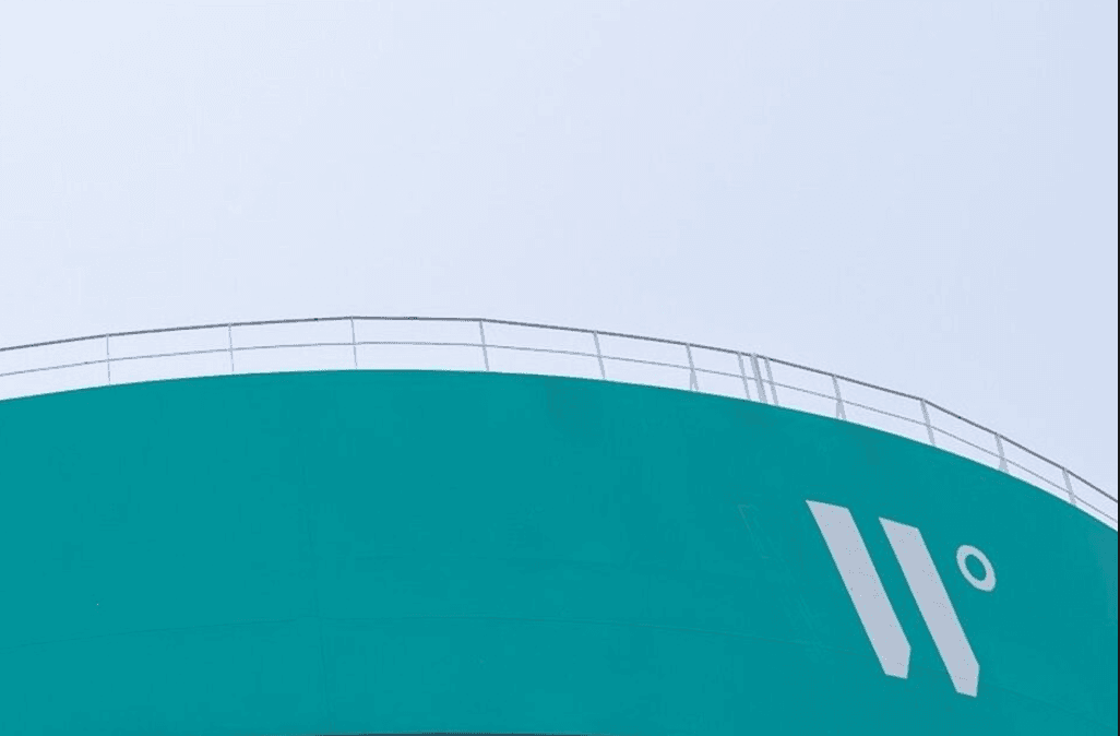 Wallenius Wilhelmsen Declares $258 Million Dividend Amidst High RoRo Demand