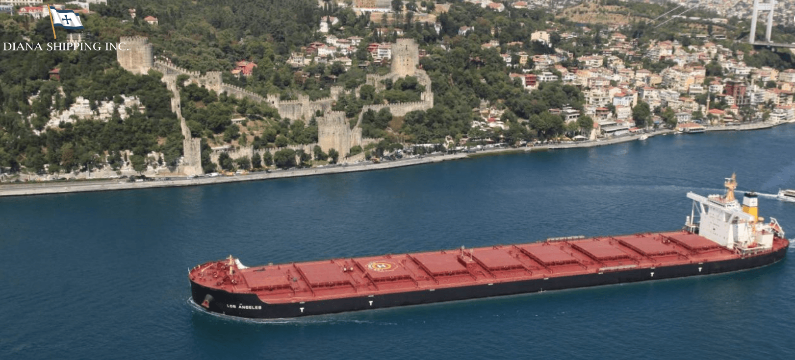 Star Bulk Withdraws from Genco Vessel Acquisition, Diana Shipping Maintains Bid