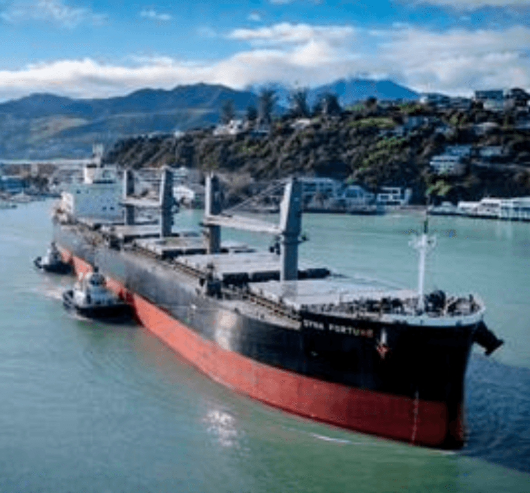 Western Bulk Anticipates Profitability in 2026 Despite First-Half Loss
