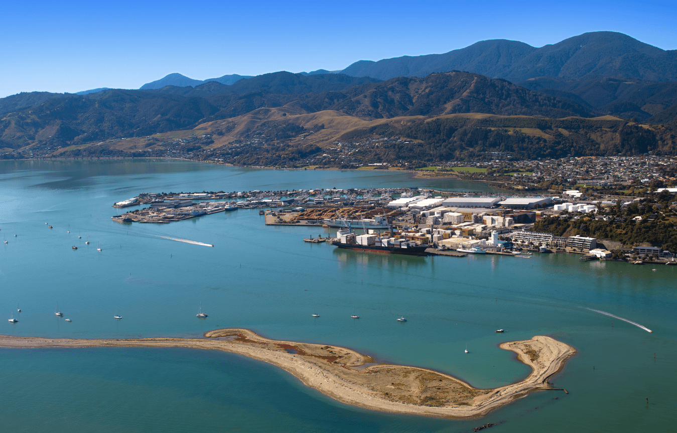 Port Nelson Reports Significant Profit Increase Driven by Record Log Exports
