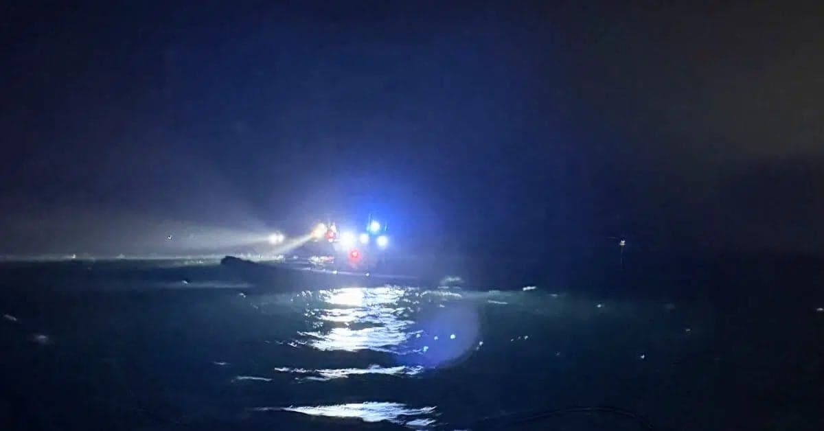 Swedish Pilot Suspected in Fatal Misje Verde Cargo Ship Collision
