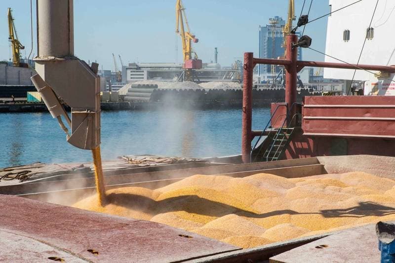 Russian Missile Strike on Grain Ship Near Odesa Kills Ten