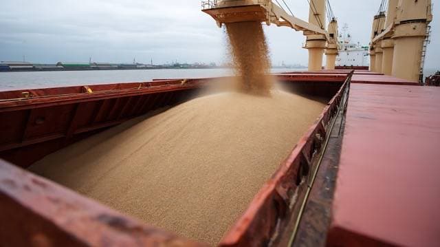 Ukraine Seeks New Grain Export Routes Amid Black Sea Disruptions