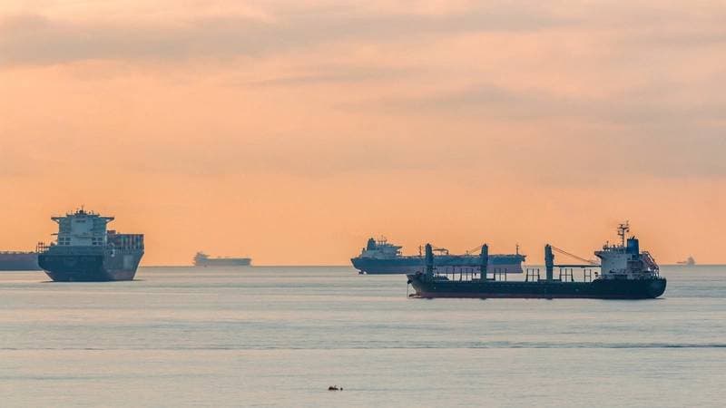 Japanese Shippers Await Clarity on Strait of Hormuz Reopening After US-Iran Deal