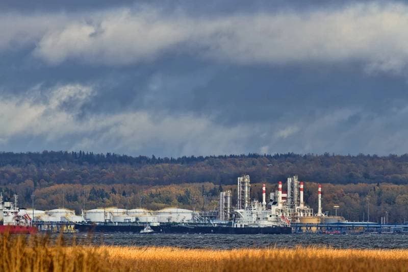 Drone Attack Causes Fire at Russia's Ust-Luga Port