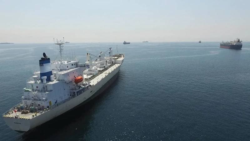 Panama Reinstated on Paris MoU White List, Enhancing Maritime Compliance Standing