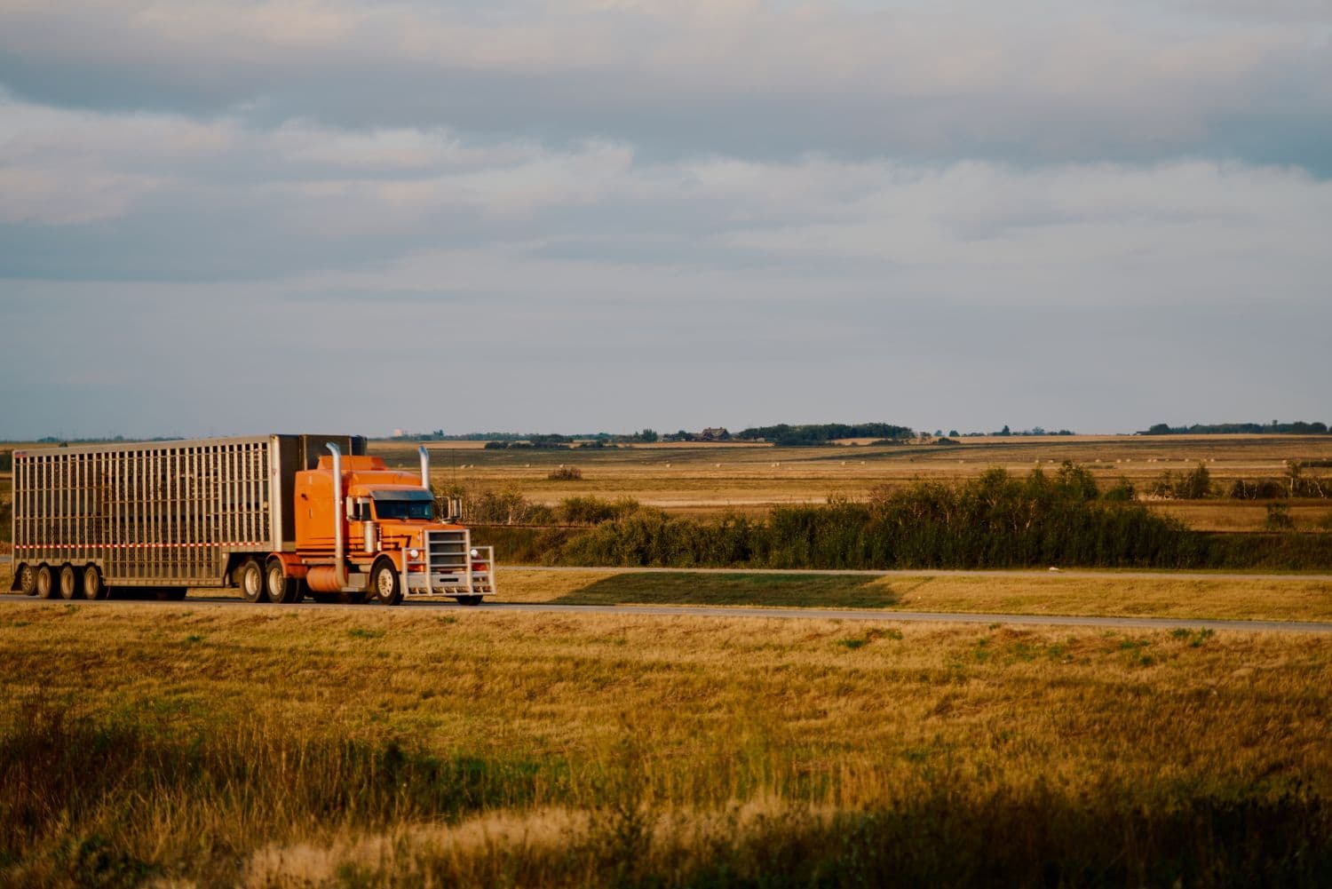 Canadian Government Intensifies Enforcement Against 'Driver Inc.' Trucking Model