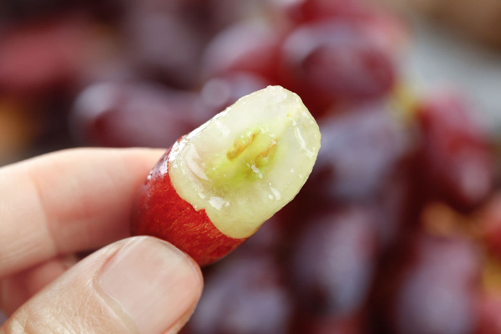 New Shipping Services Alter Chilean Fruit Logistics to US East Coast