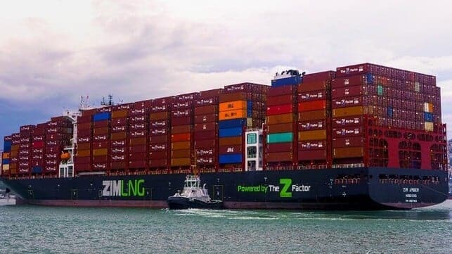 Israeli Ministers Reportedly Oppose Potential ZIM Acquisition