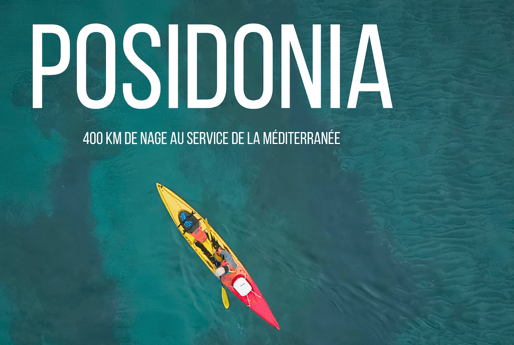 Documentary Film Highlights Mediterranean's Fragile Ecosystem, Diverging from Shipping Event