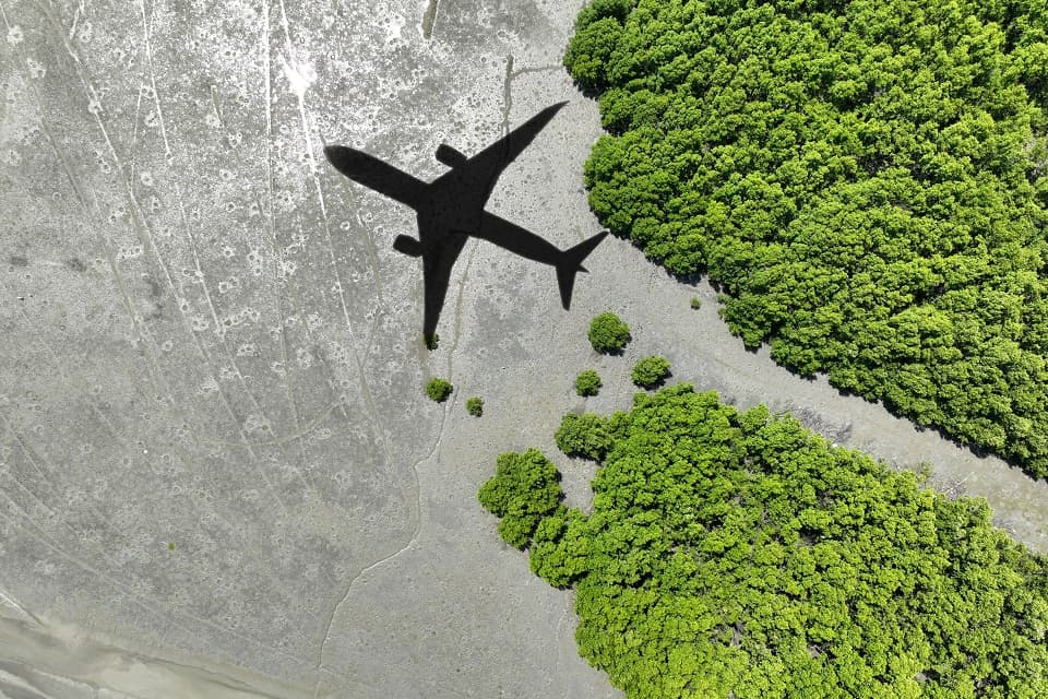 Google Cloud Partners with Kuehne+Nagel on Sustainable Aviation Fuel Initiative