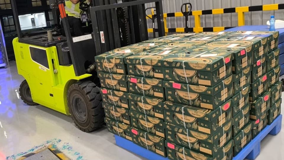 Navi Mumbai Airport Handles First International Air Export Shipment